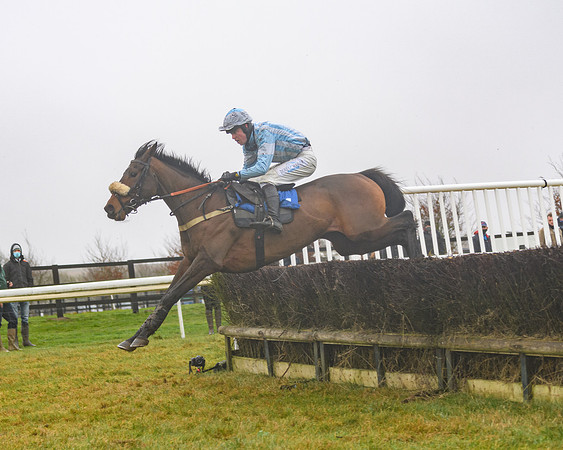 Race 3 - Young Horse maiden (62 of 93)