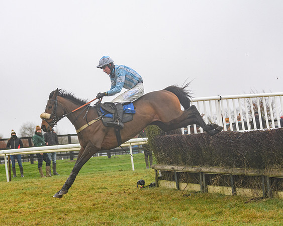 Race 3 - Young Horse maiden (63 of 93)