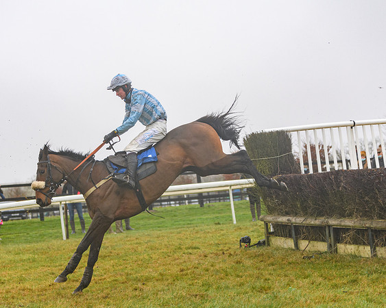 Race 3 - Young Horse maiden (64 of 93)