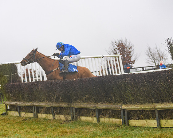 Race 3 - Young Horse maiden (65 of 93)