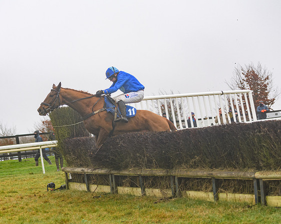 Race 3 - Young Horse maiden (66 of 93)