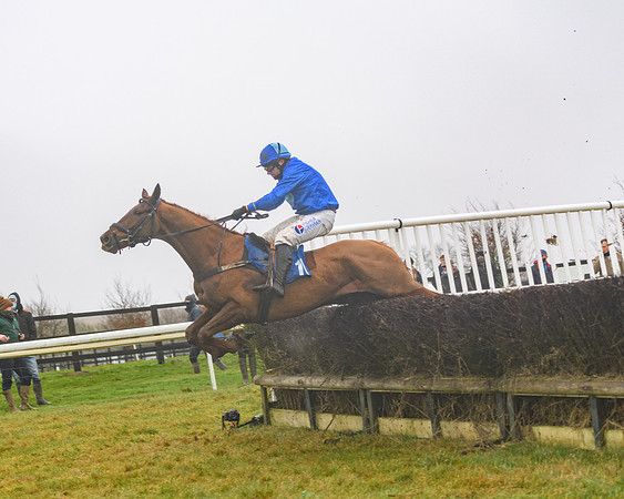Race 3 - Young Horse maiden (67 of 93)