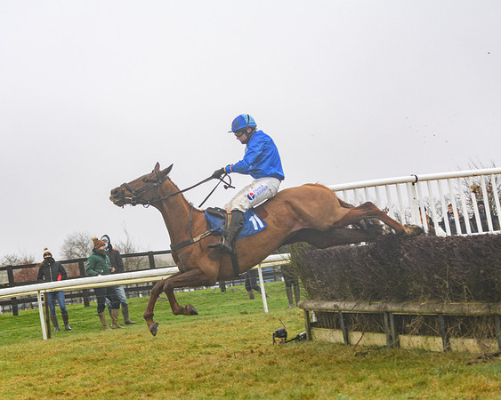 Race 3 - Young Horse maiden (68 of 93)