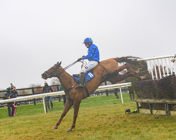 Race 3 - Young Horse maiden (69 of 93)