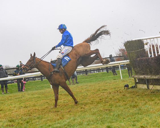 Race 3 - Young Horse maiden (70 of 93)