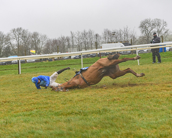 Race 3 - Young Horse maiden (72 of 93)