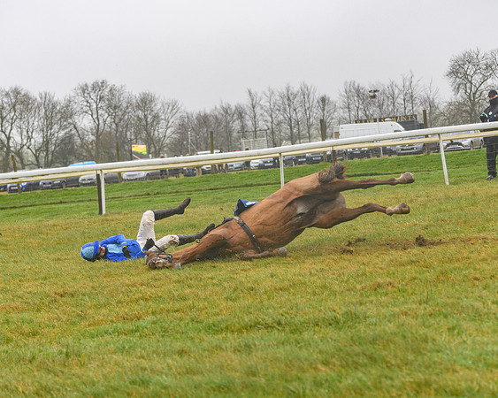 Race 3 - Young Horse maiden (73 of 93)