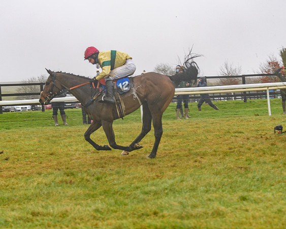 Race 3 - Young Horse maiden (74 of 93)
