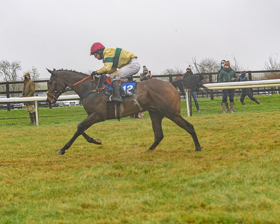 Race 3 - Young Horse maiden (75 of 93)