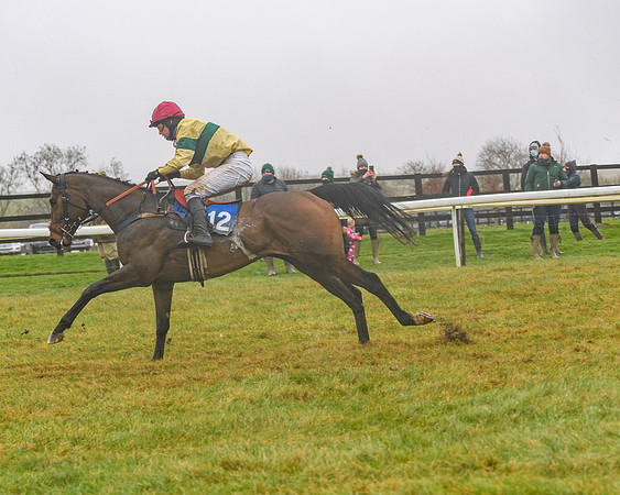 Race 3 - Young Horse maiden (76 of 93)