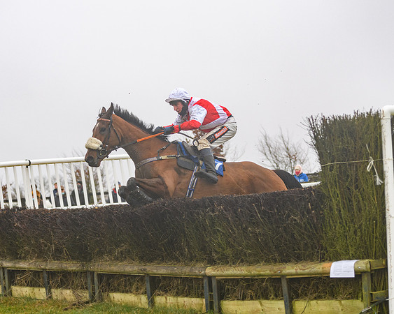 Race 3 - Young Horse maiden (77 of 93)