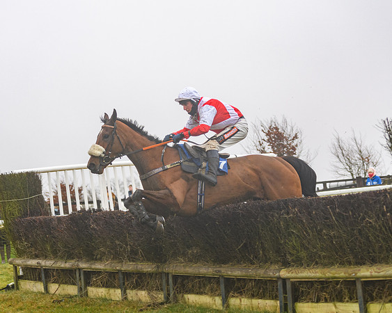 Race 3 - Young Horse maiden (78 of 93)