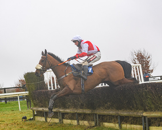 Race 3 - Young Horse maiden (79 of 93)
