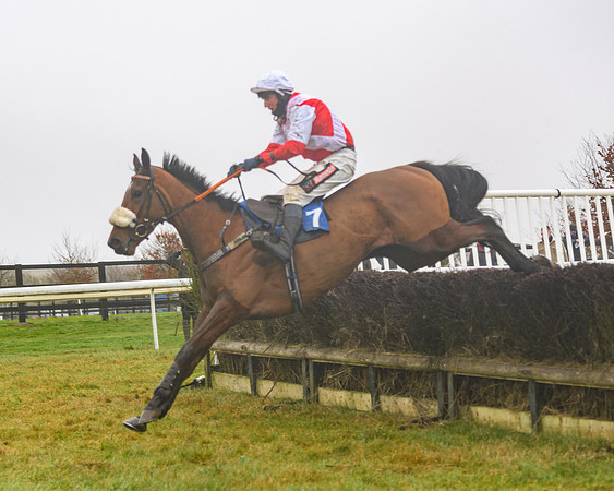 Race 3 - Young Horse maiden (80 of 93)