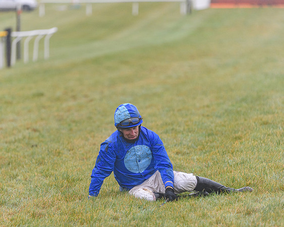 Race 3 - Young Horse maiden (81 of 93)