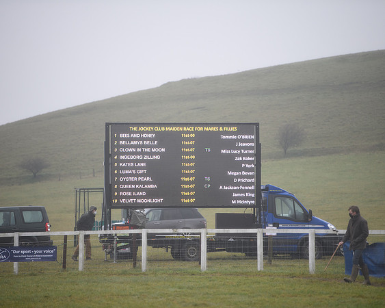 Race 3 - Young Horse maiden (82 of 93)