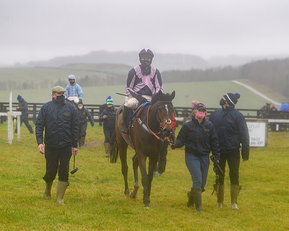Race 3 - Young Horse maiden (84 of 93)