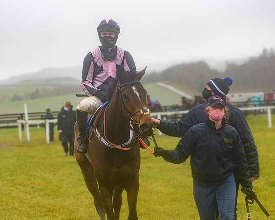 Race 3 - Young Horse maiden (85 of 93)