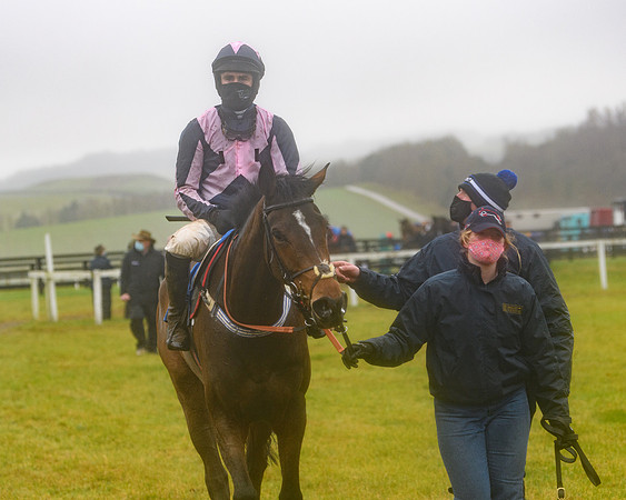 Race 3 - Young Horse maiden (86 of 93)