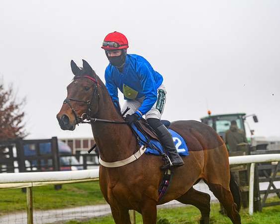 Race 4 - Mares Maiden Div 1  (11 of 79)
