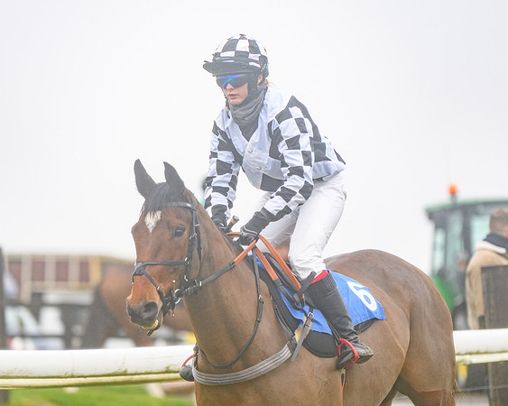 Race 4 - Mares Maiden Div 1  (17 of 79)