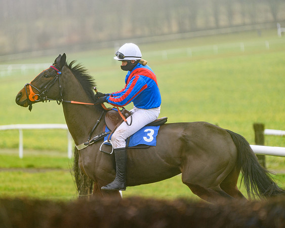 Race 4 - Mares Maiden Div 1  (19 of 79)