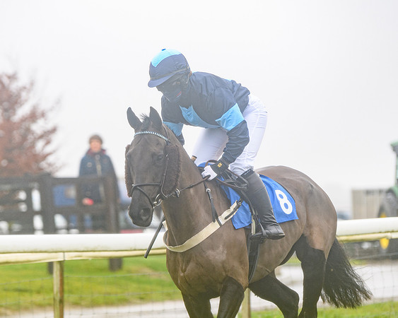 Race 4 - Mares Maiden Div 1  (24 of 79)