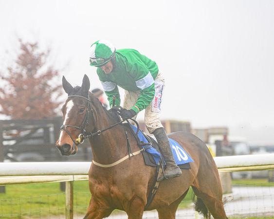 Race 4 - Mares Maiden Div 1  (27 of 79)