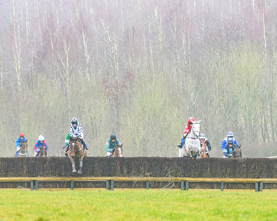 Race 4 - Mares Maiden Div 1  (30 of 79)