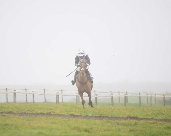 Race 4 - Mares Maiden Div 1  (47 of 79)