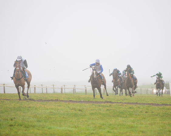 Race 4 - Mares Maiden Div 1  (48 of 79)