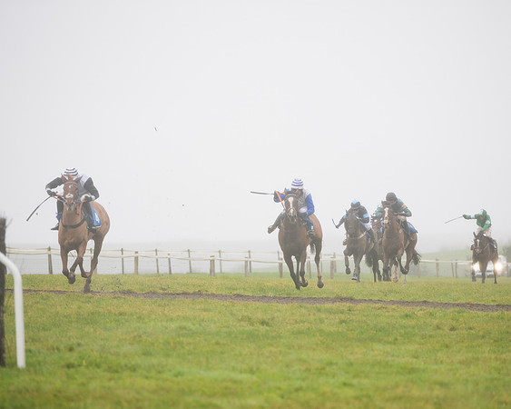 Race 4 - Mares Maiden Div 1  (49 of 79)