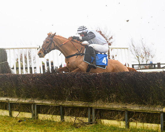 Race 4 - Mares Maiden Div 1  (50 of 79)