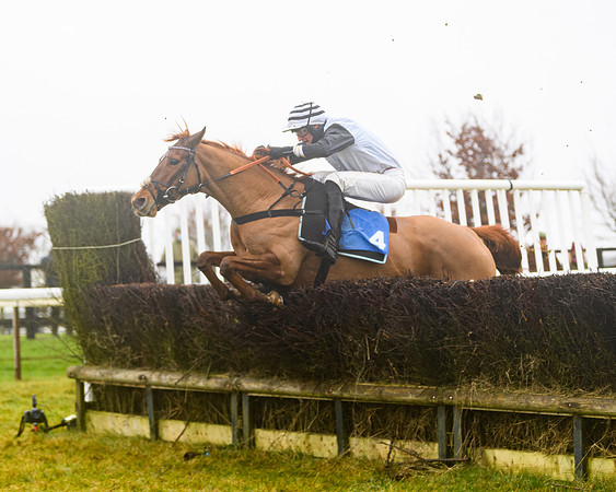 Race 4 - Mares Maiden Div 1  (51 of 79)