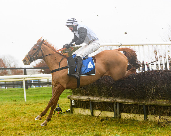 Race 4 - Mares Maiden Div 1  (53 of 79)