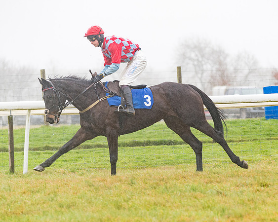 Race 5 - Mares Maiden Div 2 (16 of 93)