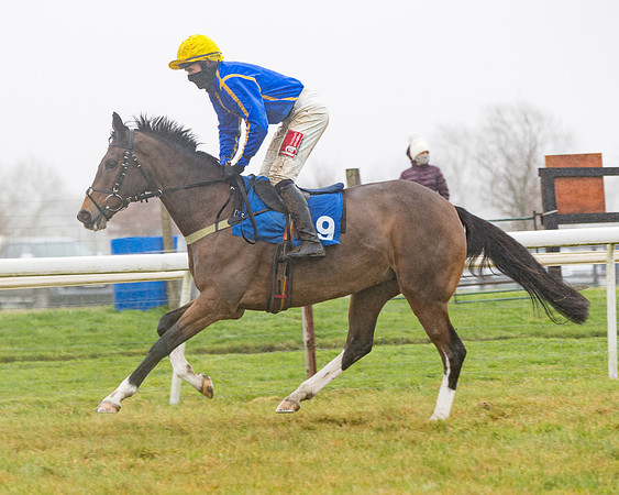 Race 5 - Mares Maiden Div 2 (21 of 93)