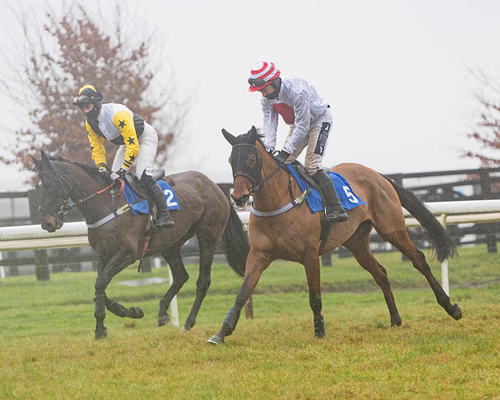 Race 5 - Mares Maiden Div 2 (27 of 93)