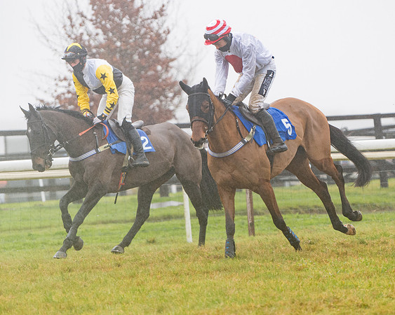 Race 5 - Mares Maiden Div 2 (28 of 93)