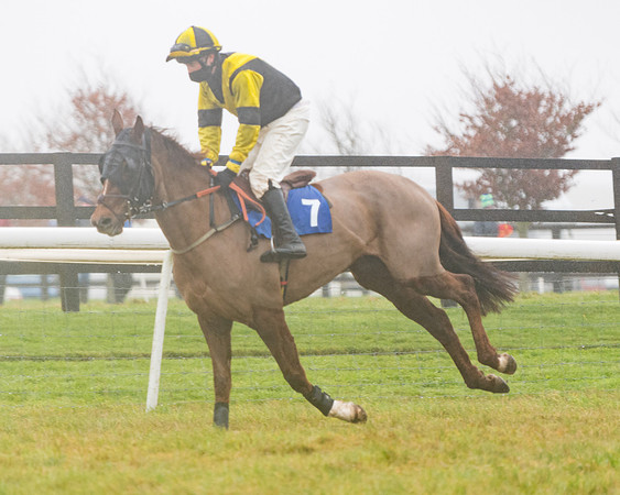 Race 5 - Mares Maiden Div 2 (31 of 93)