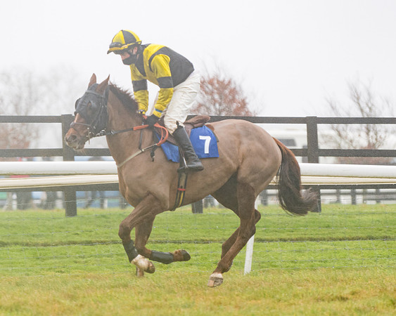 Race 5 - Mares Maiden Div 2 (32 of 93)