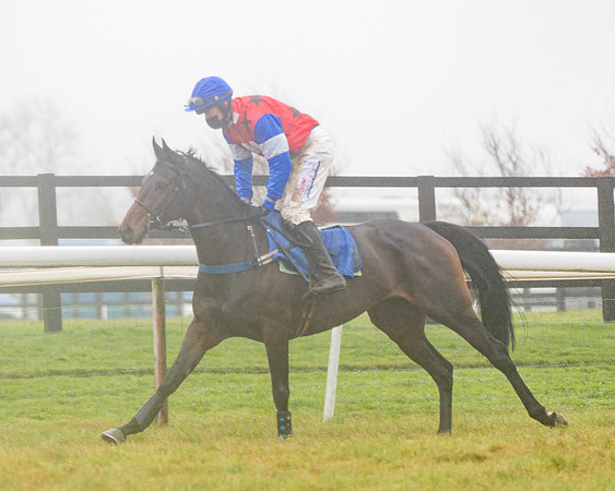 Race 5 - Mares Maiden Div 2 (34 of 93)