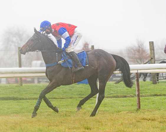 Race 5 - Mares Maiden Div 2 (35 of 93)