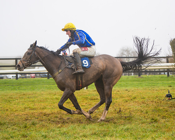 Race 5 - Mares Maiden Div 2 (67 of 93)