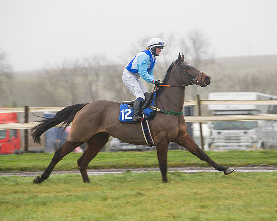 Race 7 - Novice riders Div 1  (10 of 132)