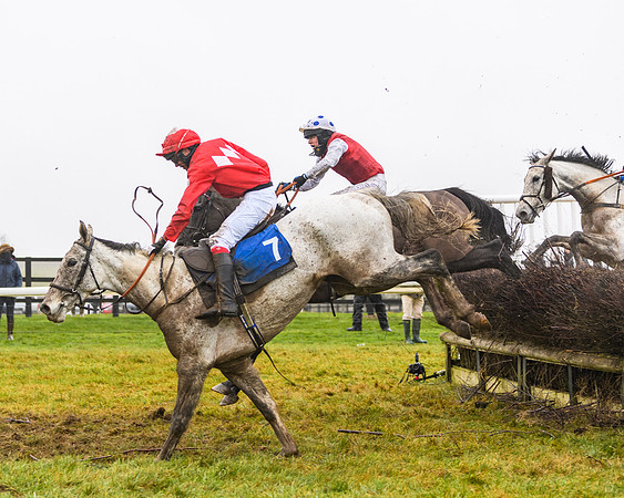 Race 7 - Novice riders Div 1  (96 of 132)