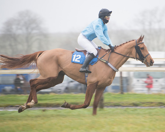 Race 8 - Novice riders Div 2 (24 of 126)