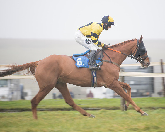 Race 8 - Novice riders Div 2 (26 of 126)