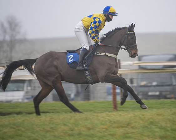 Race 8 - Novice riders Div 2 (32 of 126)