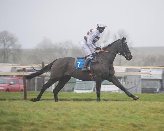 Race 8 - Novice riders Div 2 (42 of 126)